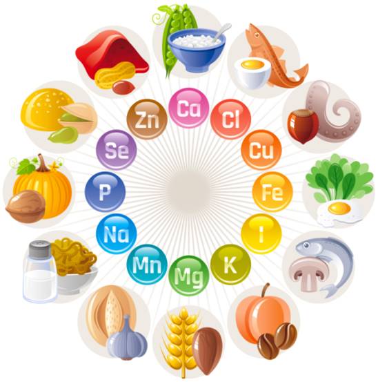 健康課堂 身體不可缺少的“有用”礦物質與食品