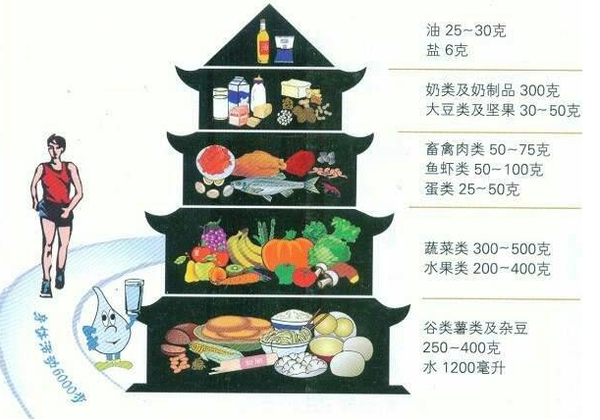 健康生活方式與食品 從餐桌開(kāi)始的全面健康指南